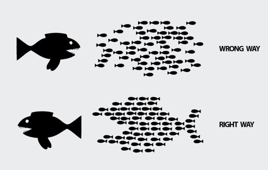 Изборен модел во кој големите риби ги јадат малите